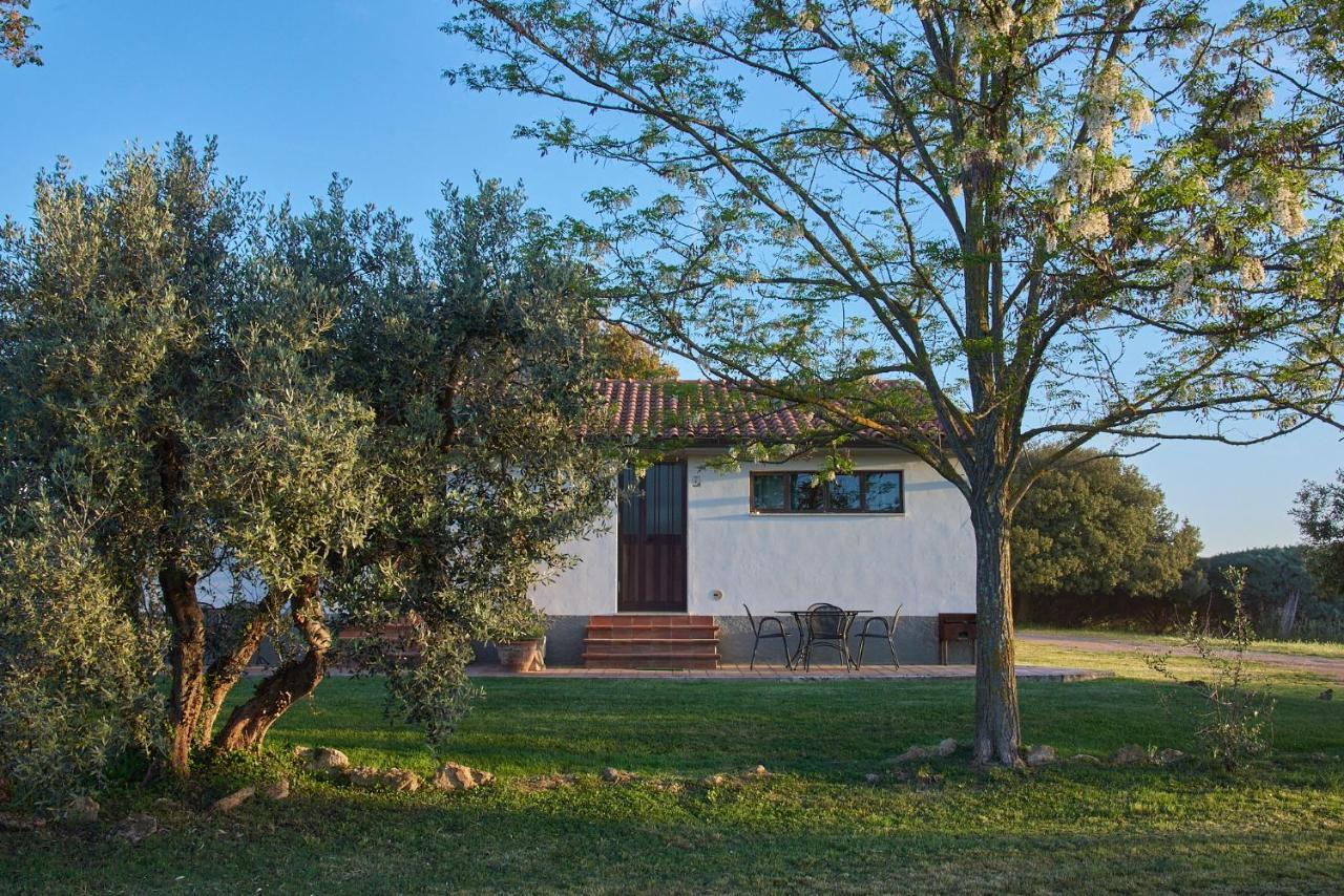 Agriturismo Tesorino Масса-Мариттима Экстерьер фото