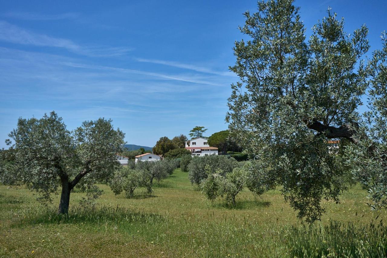 Agriturismo Tesorino Масса-Мариттима Экстерьер фото