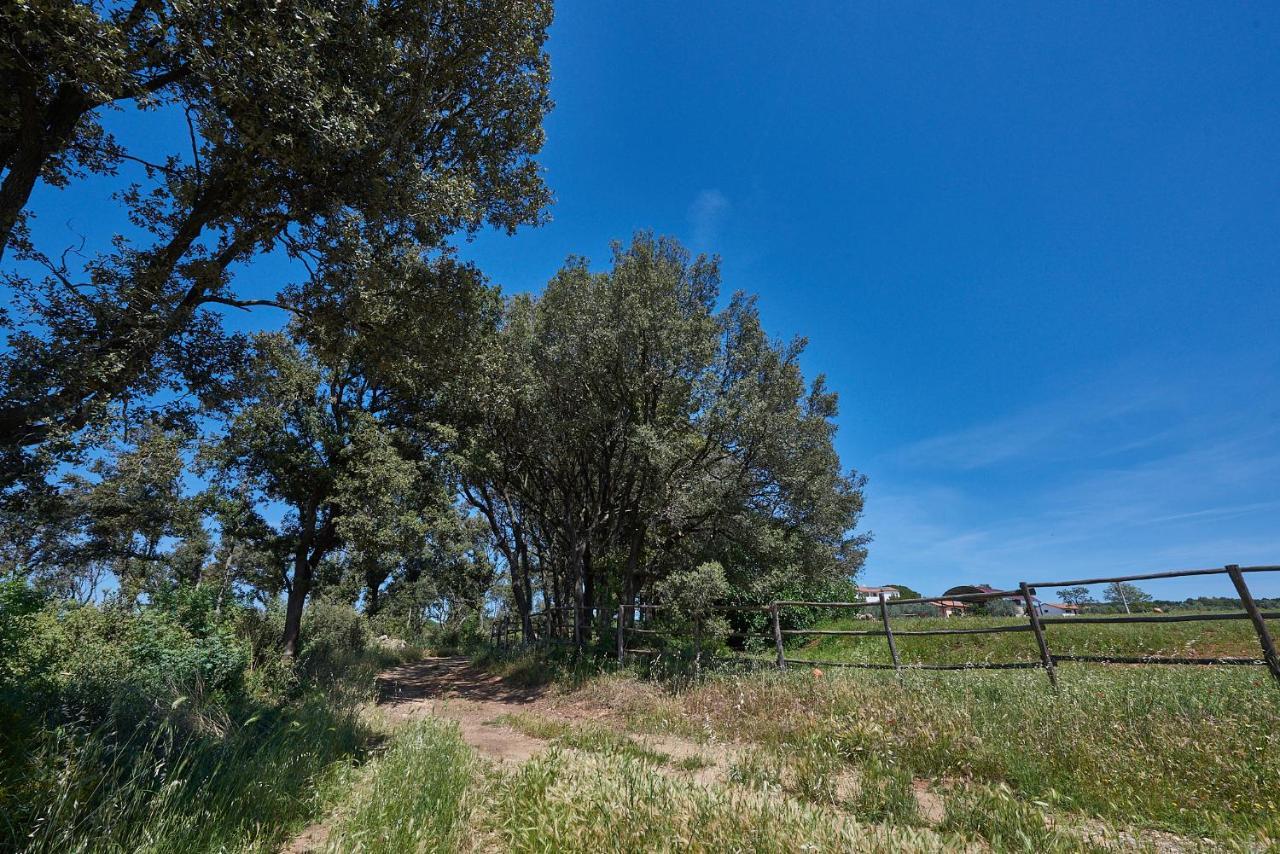Agriturismo Tesorino Масса-Мариттима Экстерьер фото