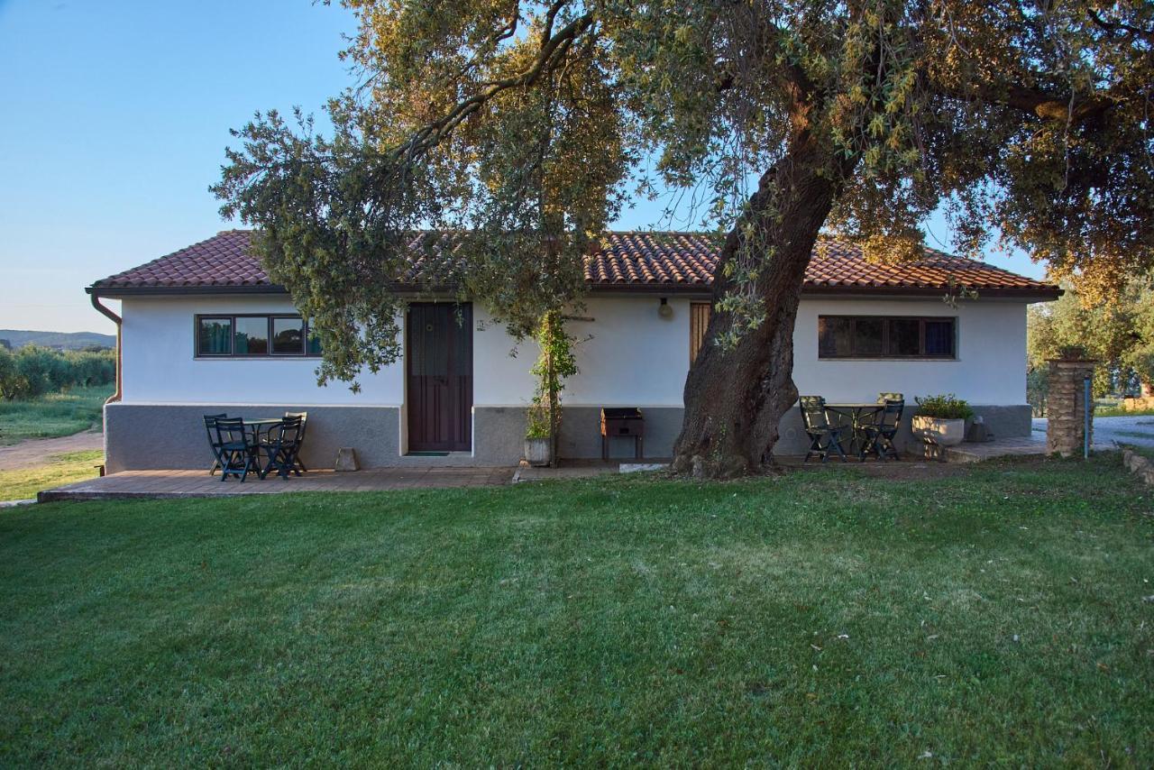 Agriturismo Tesorino Масса-Мариттима Экстерьер фото